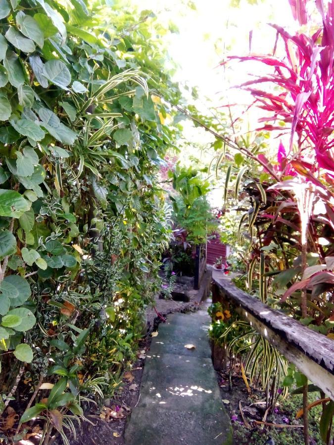 Island Home هونيارا المظهر الخارجي الصورة