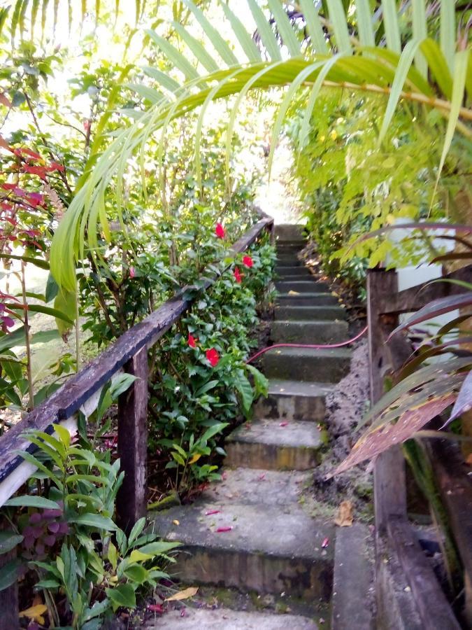 Island Home هونيارا المظهر الخارجي الصورة